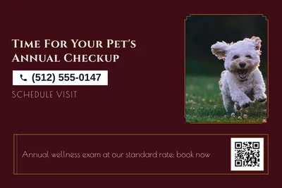 Art deco · Coupon: Time For Your Pet's Annual Checkup