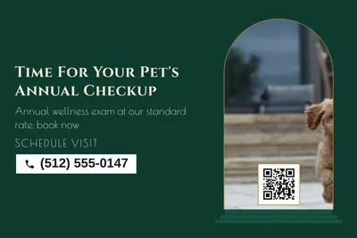 Art deco · Photo Frame: Time For Your Pet's Annual Checkup