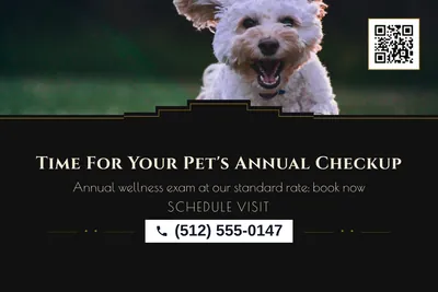 Art deco · Photo Hero: Time For Your Pet's Annual Checkup