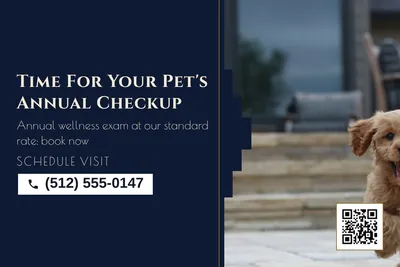 Art deco · Split: Time For Your Pet's Annual Checkup