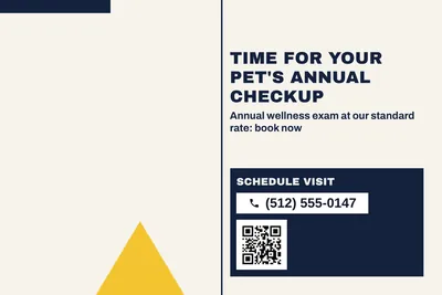 Bauhaus · Big Offer: Time For Your Pet's Annual Checkup