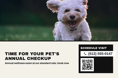 Bauhaus · Photo Hero: Time For Your Pet's Annual Checkup