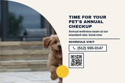 Bauhaus · Split: Time For Your Pet's Annual Checkup