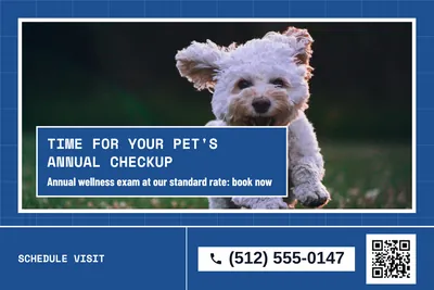Blueprint · Photo Hero: Time For Your Pet's Annual Checkup