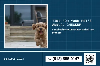 Blueprint · Split: Time For Your Pet's Annual Checkup