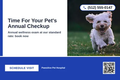 Bold Color Block · Bottom Bar: Time For Your Pet's Annual Checkup