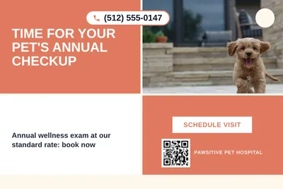 Bold Color Block · Checkerboard: Time For Your Pet's Annual Checkup