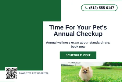 Bold Color Block · Corner Accent: Time For Your Pet's Annual Checkup