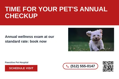 Bold Color Block · Horizontal Bands: Time For Your Pet's Annual Checkup