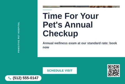 Bold Color Block · L-Shape Block: Time For Your Pet's Annual Checkup
