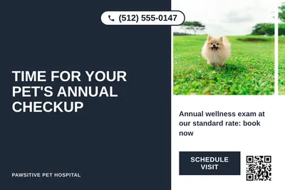 Bold Color Block · Vertical Split: Time For Your Pet's Annual Checkup