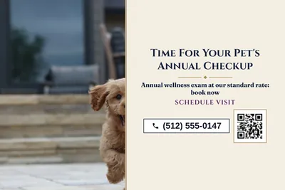 Classic · Split: Time For Your Pet's Annual Checkup