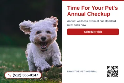 Clean Photo · Photo Left, Text Right: Time For Your Pet's Annual Checkup