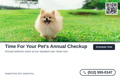 Clean Photo · Photo Top, Text Bottom: Time For Your Pet's Annual Checkup