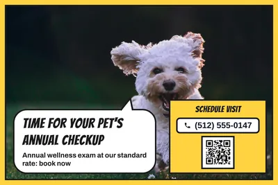 Comic pop · Photo Hero: Time For Your Pet's Annual Checkup
