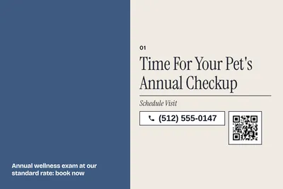 Contemporary · Big Offer: Time For Your Pet's Annual Checkup