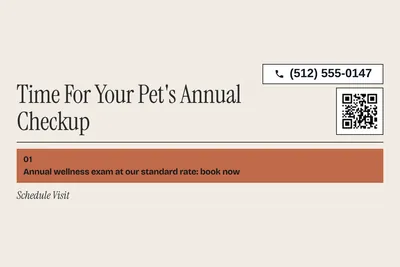 Contemporary · Offer Menu: Time For Your Pet's Annual Checkup