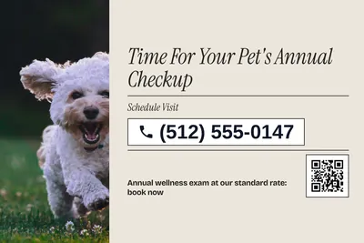 Contemporary · Phone Billboard: Time For Your Pet's Annual Checkup