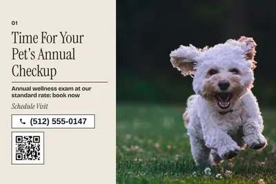 Contemporary · Photo Hero: Time For Your Pet's Annual Checkup