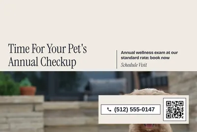 Contemporary · Split: Time For Your Pet's Annual Checkup