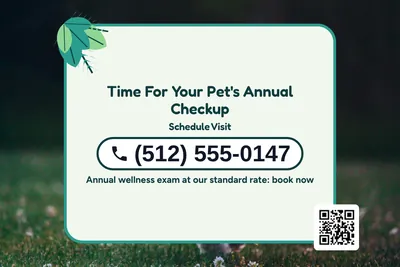 Jungle · Phone Billboard: Time For Your Pet's Annual Checkup