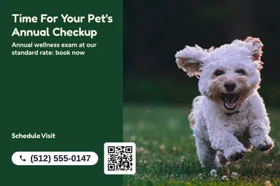 Jungle · Photo Hero: Time For Your Pet's Annual Checkup