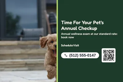 Jungle · Split: Time For Your Pet's Annual Checkup