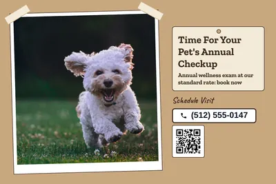 Kraft and stamp · Photo Hero: Time For Your Pet's Annual Checkup