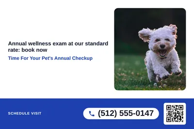 Local Offer · Big Offer: Time For Your Pet's Annual Checkup