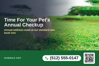 Local Offer · Photo Overlay: Time For Your Pet's Annual Checkup