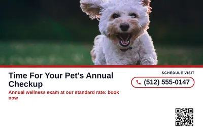 Local Offer · Ribbon and Stack: Time For Your Pet's Annual Checkup