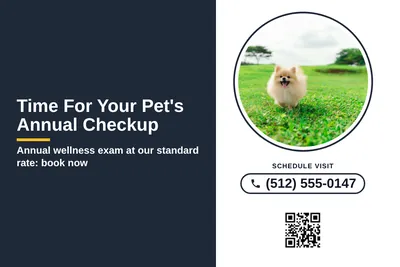 Local Offer · Split Panel: Time For Your Pet's Annual Checkup