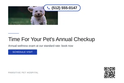 Minimal White · Bottom Heavy: Time For Your Pet's Annual Checkup