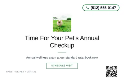 Minimal White · Centered Elegant: Time For Your Pet's Annual Checkup