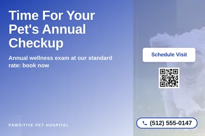 Modern Gradient · Asymmetric Blocks: Time For Your Pet's Annual Checkup