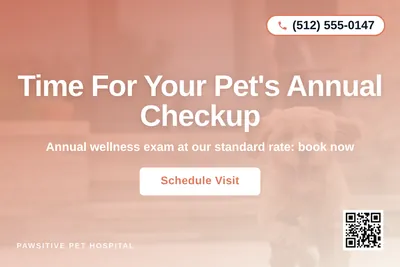 Modern Gradient · Centered Stack: Time For Your Pet's Annual Checkup