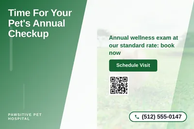 Modern Gradient · Diagonal Split: Time For Your Pet's Annual Checkup