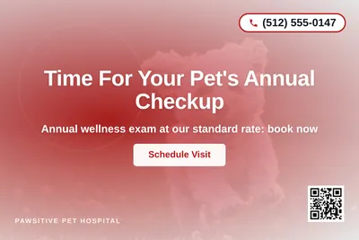 Modern Gradient · Radial Burst: Time For Your Pet's Annual Checkup