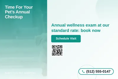 Modern Gradient · Side Stripe: Time For Your Pet's Annual Checkup
