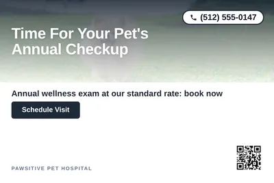 Modern Gradient · Top-Down Fade: Time For Your Pet's Annual Checkup