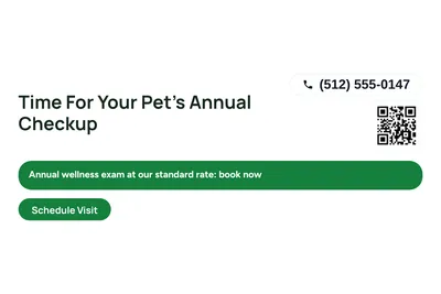 Modern · Offer Menu: Time For Your Pet's Annual Checkup