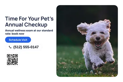 Modern · Photo Hero: Time For Your Pet's Annual Checkup