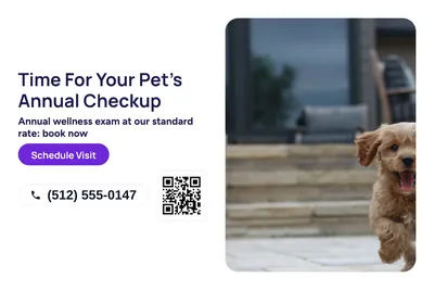 Modern · Split: Time For Your Pet's Annual Checkup