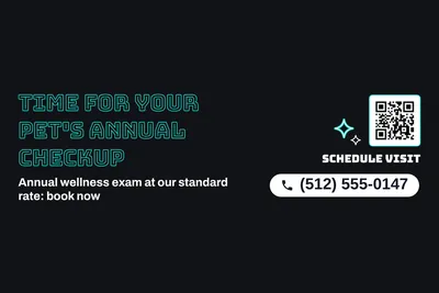 Neon night · Big Offer: Time For Your Pet's Annual Checkup