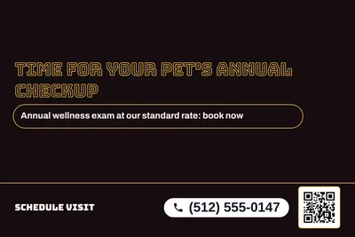 Neon night · Offer Menu: Time For Your Pet's Annual Checkup