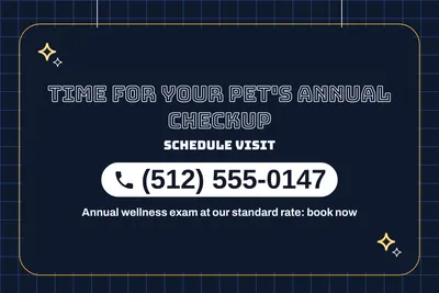 Neon night · Phone Billboard: Time For Your Pet's Annual Checkup