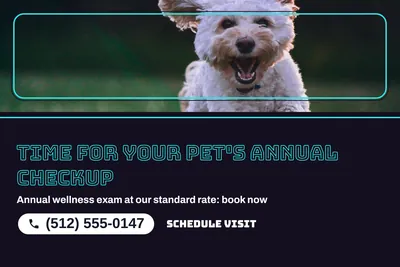 Neon night · Photo Hero: Time For Your Pet's Annual Checkup