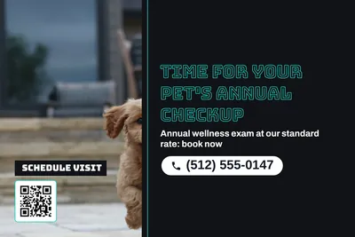Neon night · Split: Time For Your Pet's Annual Checkup