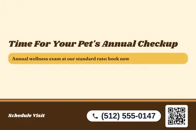 Retro 70s · Offer Menu: Time For Your Pet's Annual Checkup