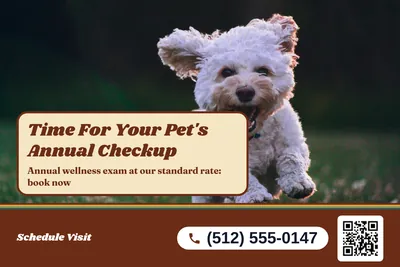 Retro 70s · Photo Hero: Time For Your Pet's Annual Checkup